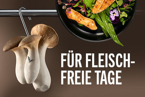 Hermann Fleischlos - Die erste Premium-Alternative zu Fleisch